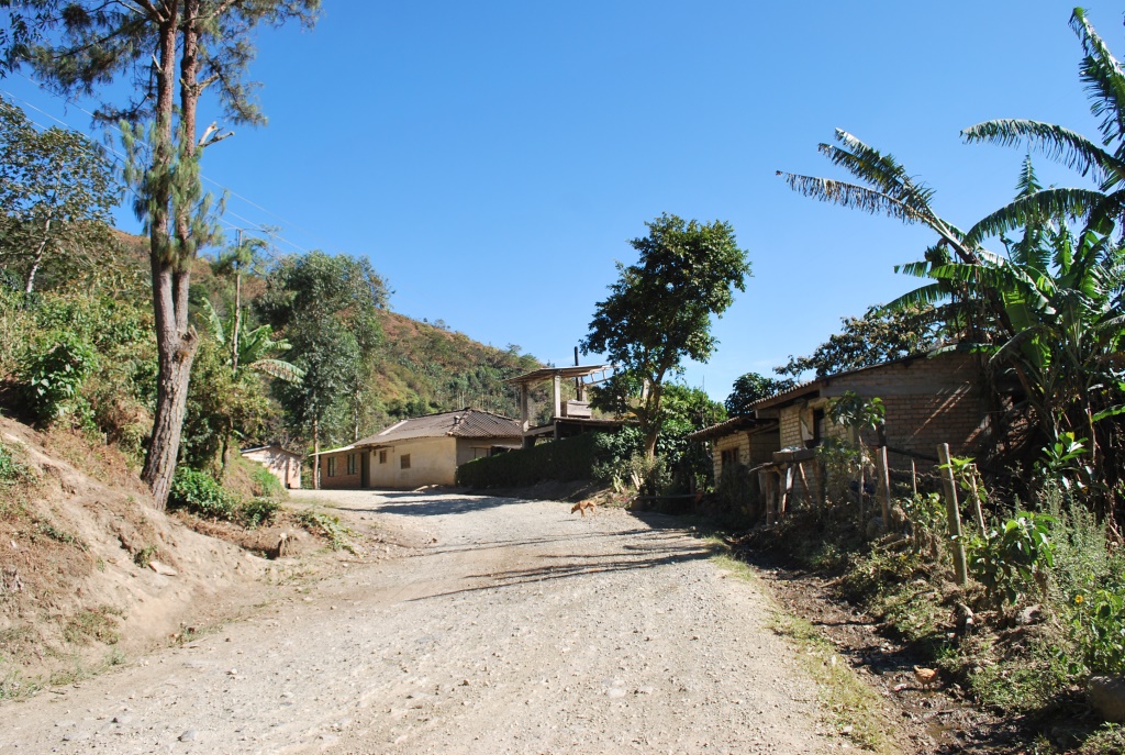 DSC 0170