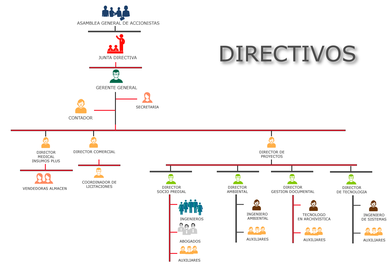 organigrama2